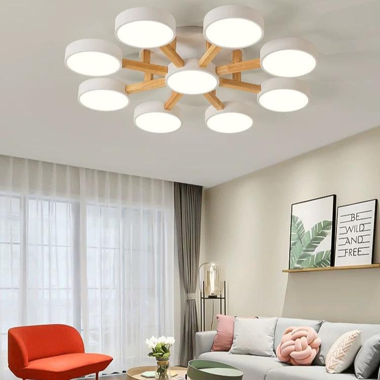 Contemporary Acrylic Multi-Heads Ceiling Light - Cueteks