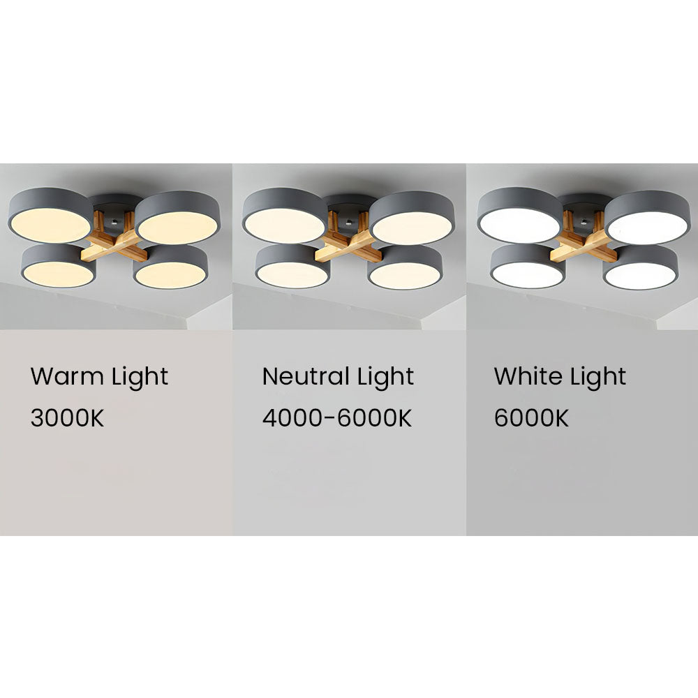 Contemporary Acrylic Multi-Heads Ceiling Light - Cueteks