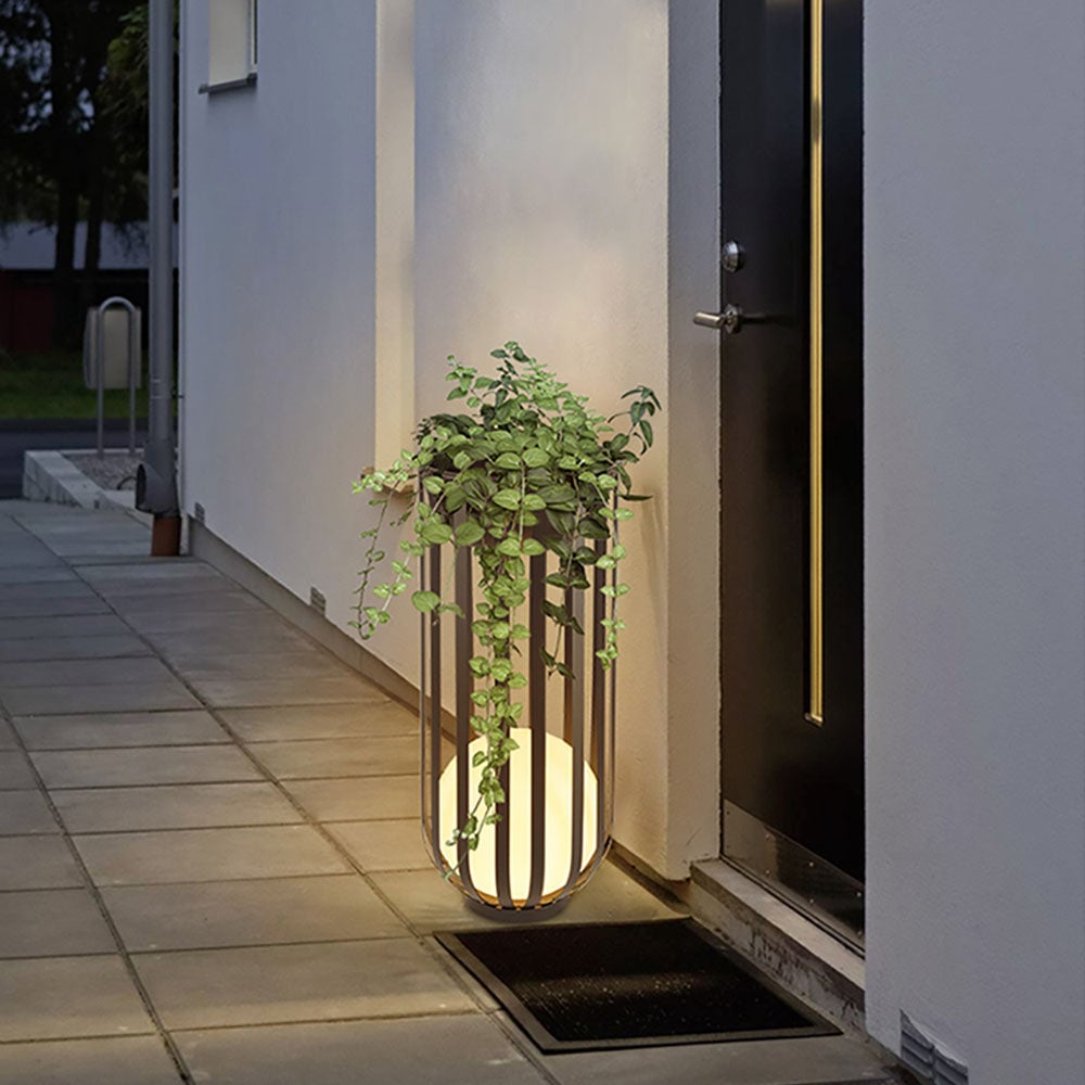 Tall black Orr cage light with a glowing globe and trailing foliage on its top tray beside an exterior door