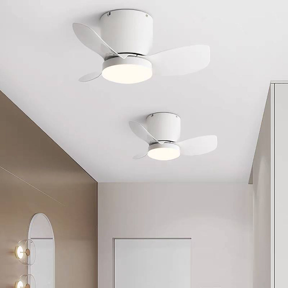 Walters 3-Blatt-Deckenventilator mit Beleuchtung, 3 Farbe, ∅60CM - Cueteks