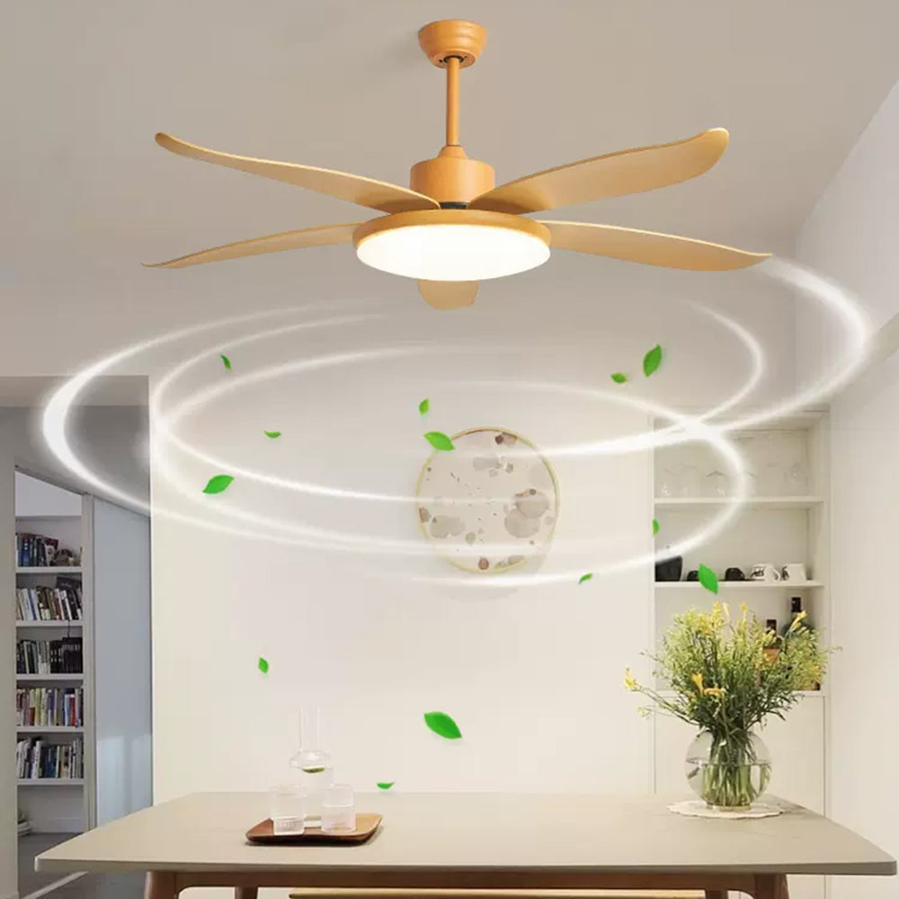Haydn 5 Blätter Deckenventilator mit Beleuchtung, Metall & Acryl, ∅100/120CM - Cueteks