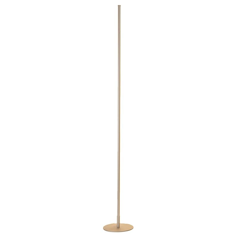 Pale metallic Edge floor lamp on a white background