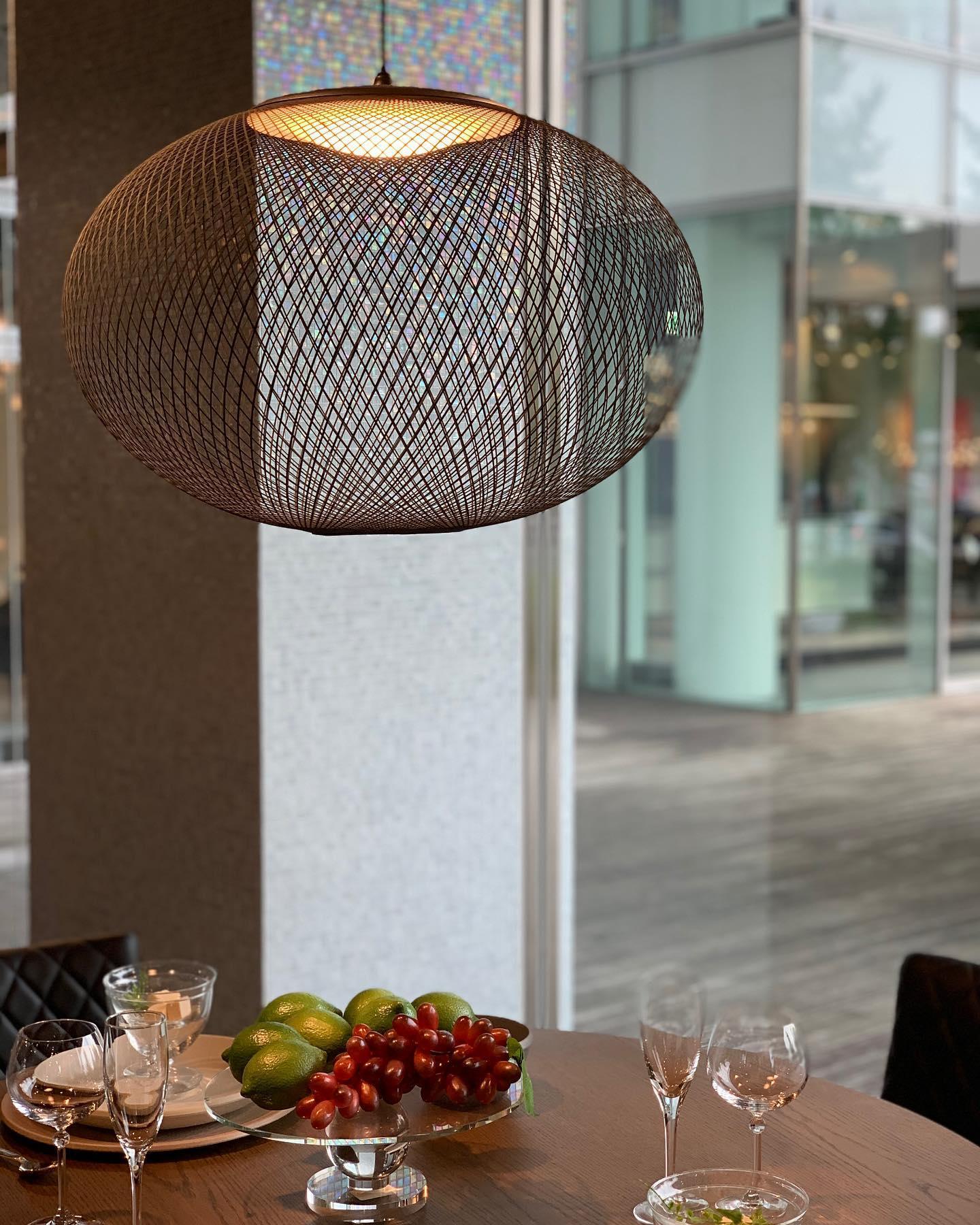 Metallic Meshwork Pendant Lamp - Cueteks