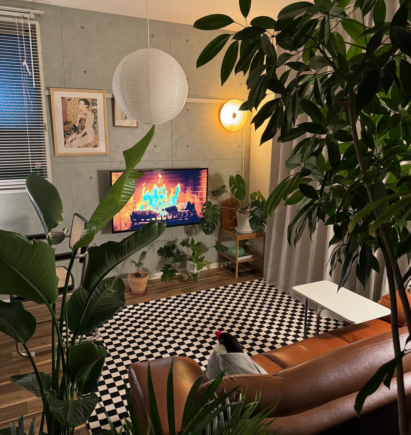 White paper globe near plants, a television and cane chair beside a brown sofa and checker rug