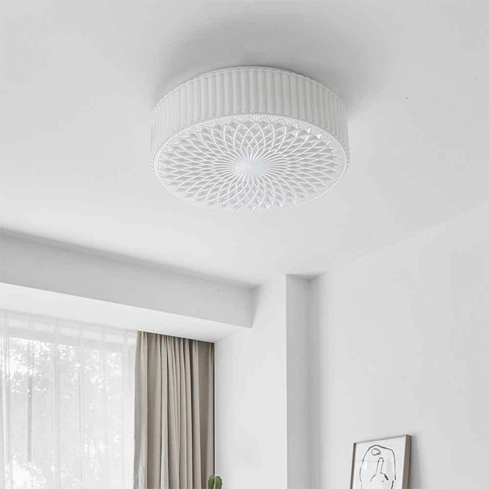 French Art Glass Flush Mount Ceiling Light - Cueteks