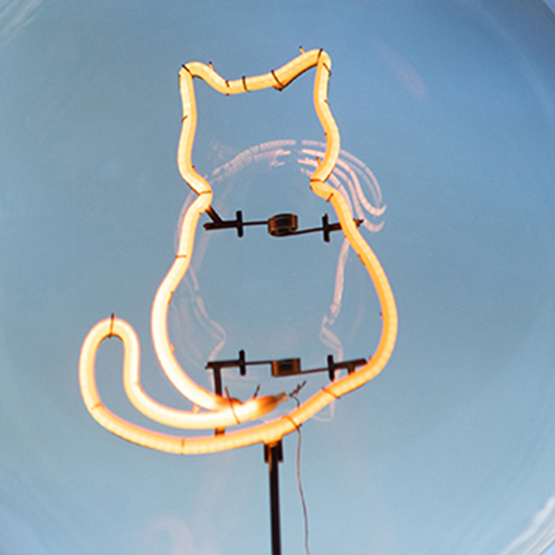 Macro glowing cat-shaped line with curled tail, whisker details and support bars inside a transparent globe