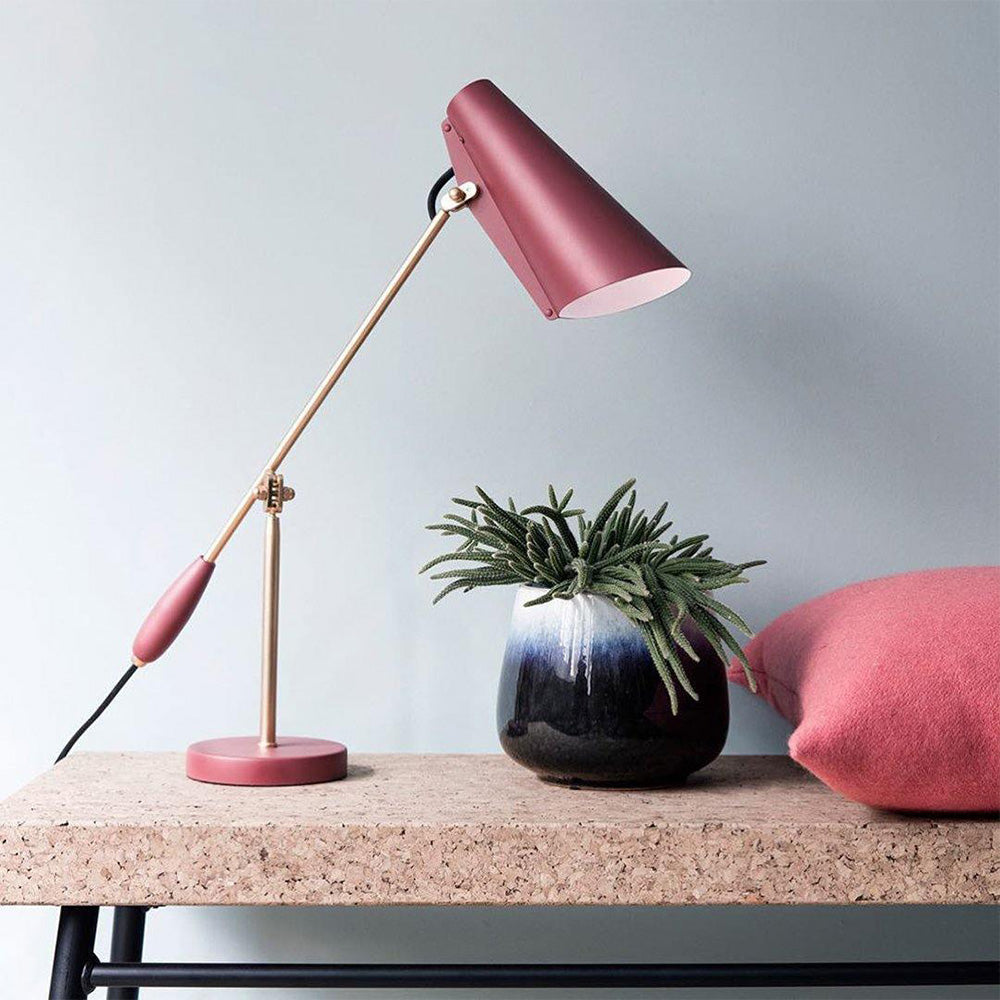 Red cone-shade lamp with gold-toned arm on a cork-like table beside a succulent pot and red cushion