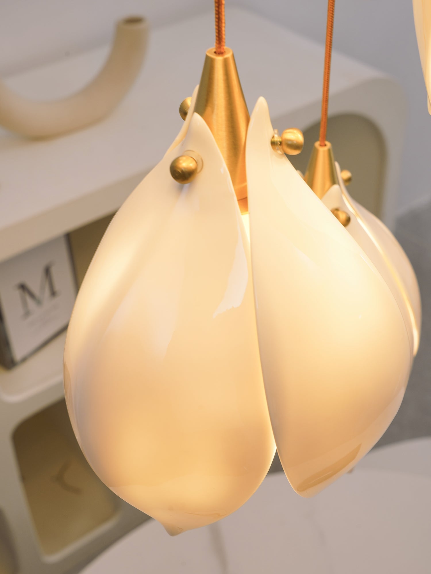 Glowing glossy petals with gold-tone ball fasteners before arched display cubbies