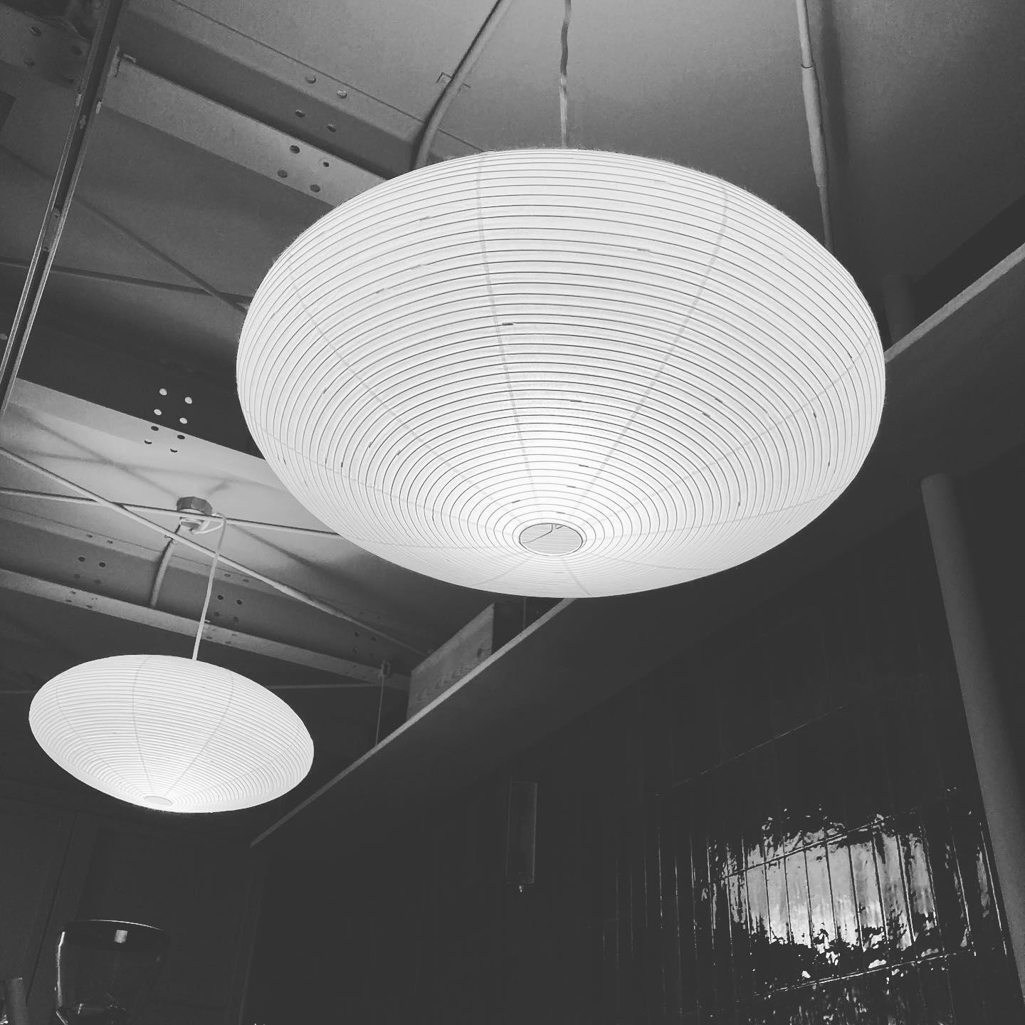 Black-and-white view from below of two flattened ribbed paper shades under ceiling beams