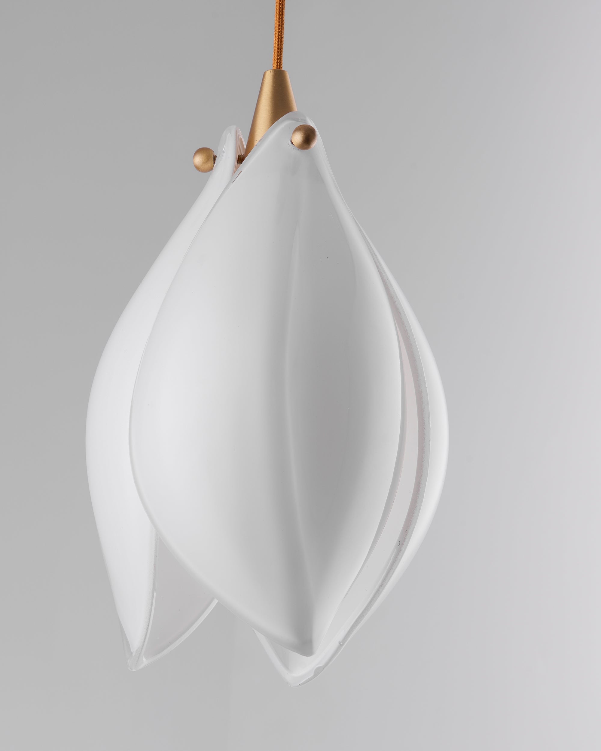 Close curved white petal edges, gold-tone ball fasteners and braided-looking cord