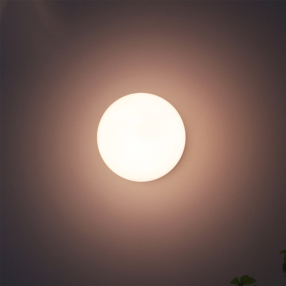 Front view of a bright round glass shade glowing on a dark wall, with leaves at lower right