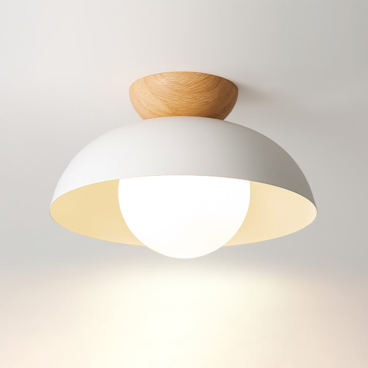 Minimalist Eco-friendly Metal Ceiling Light - Cueteks