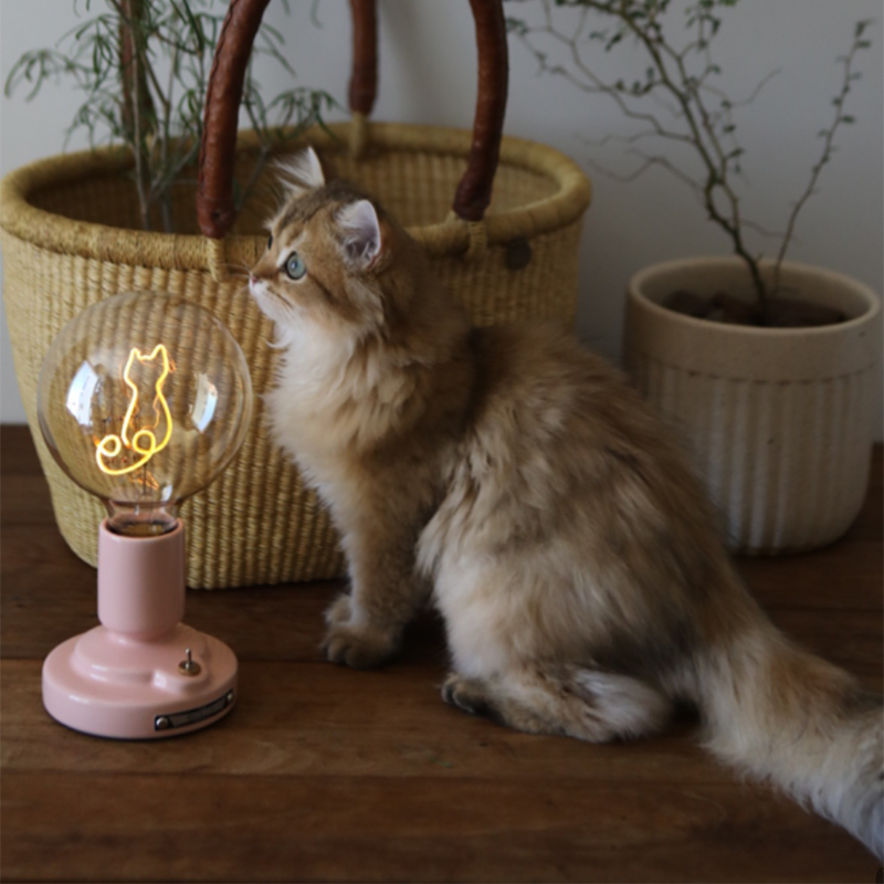 Pink-base cat-outline globe lamp beside a live cat, woven basket and pale planter on a wooden surface