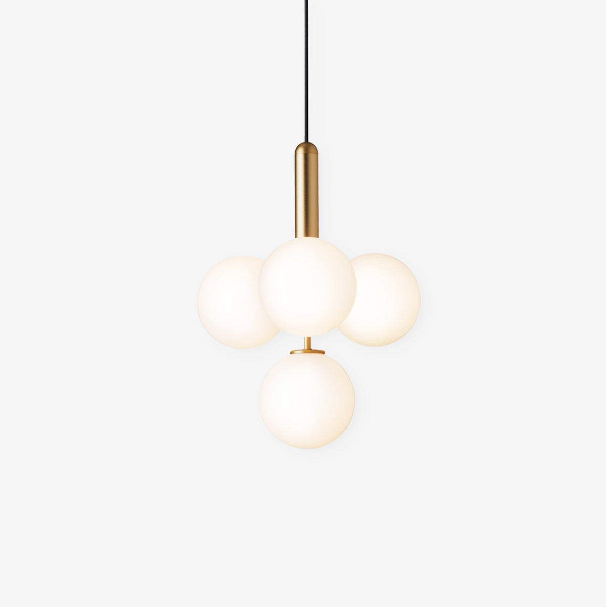 White compact globes with gold-coloured stem