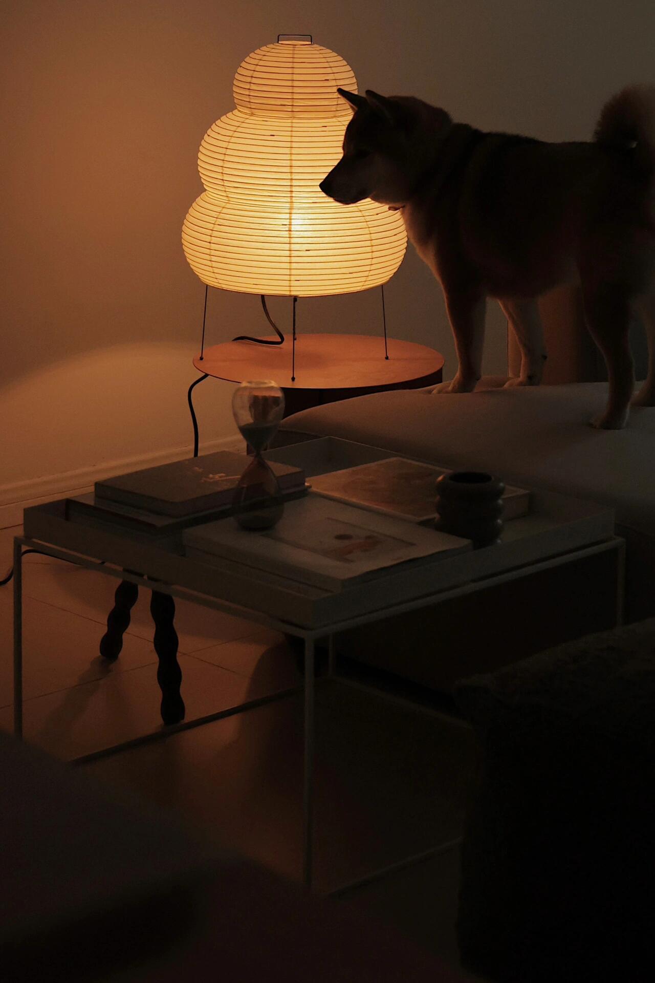 Akari 25N Table Lamp - Cueteks