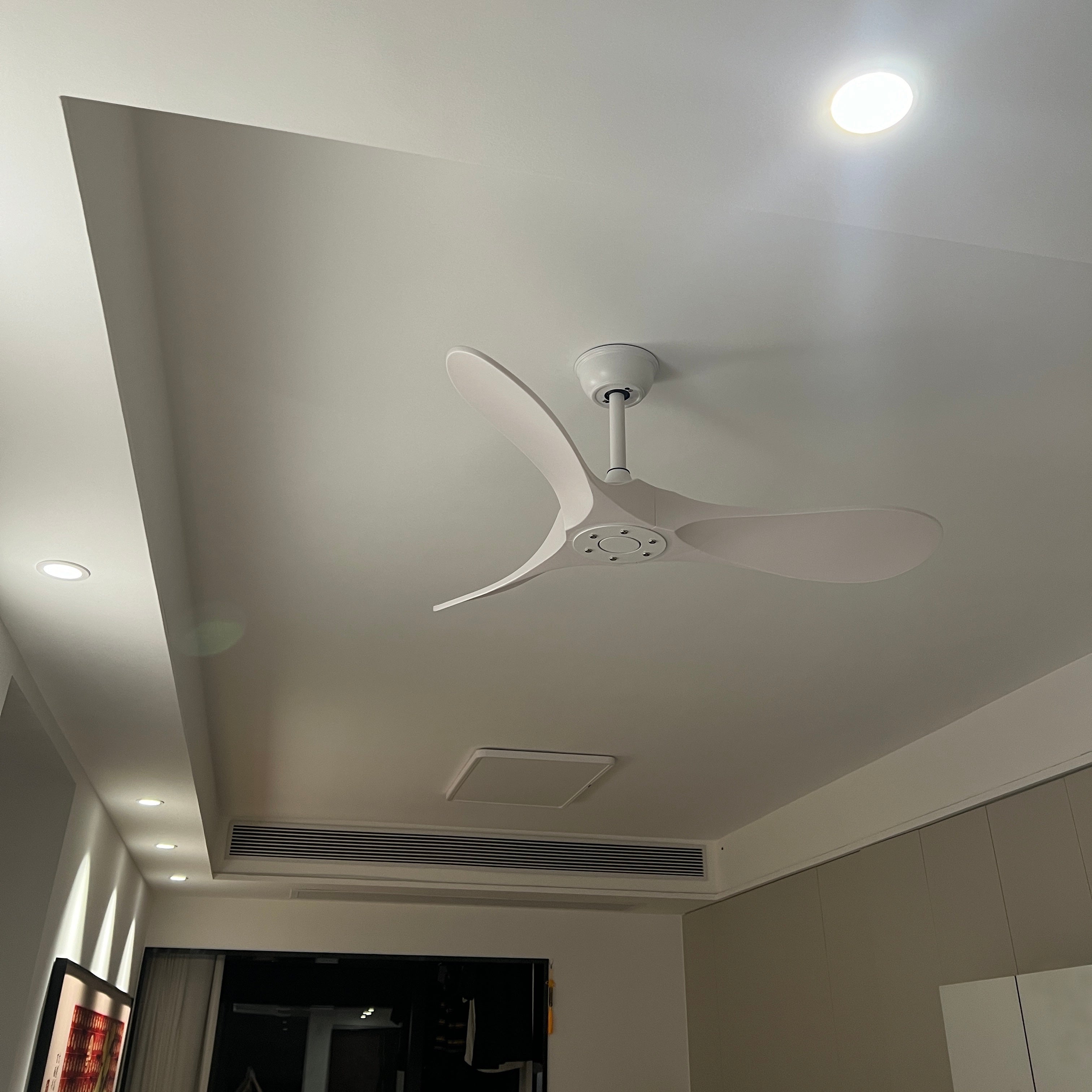 Modern ABS Ceiling Fan Light - Cueteks