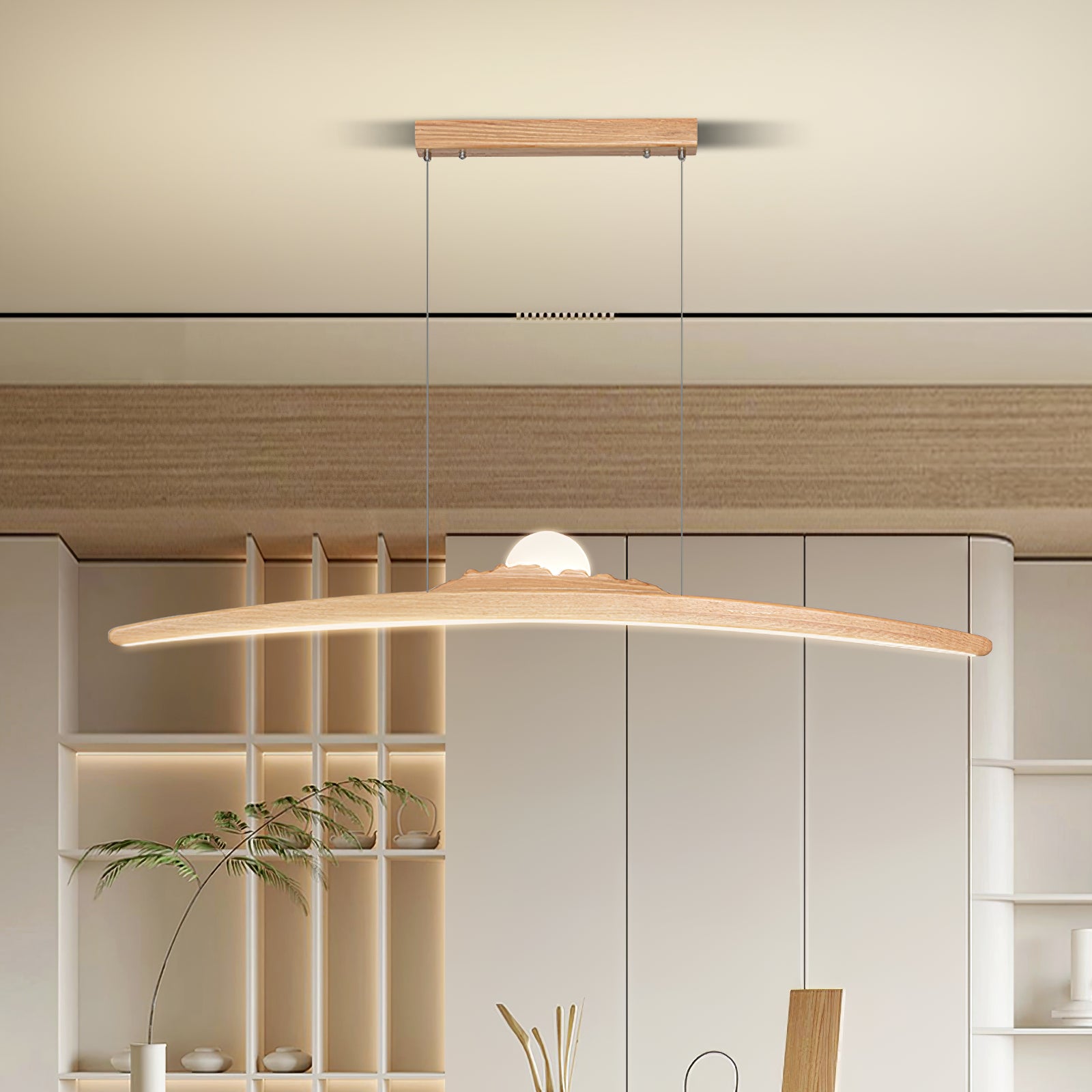 Pale wood-tone curved pendant with a matching canopy above a room with shelves and a plant