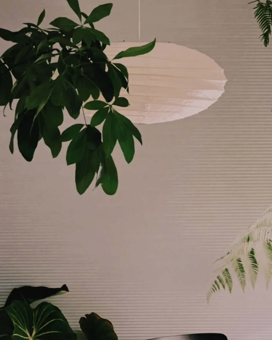 Akari 50EN 70EN Pendant lamp - Cueteks