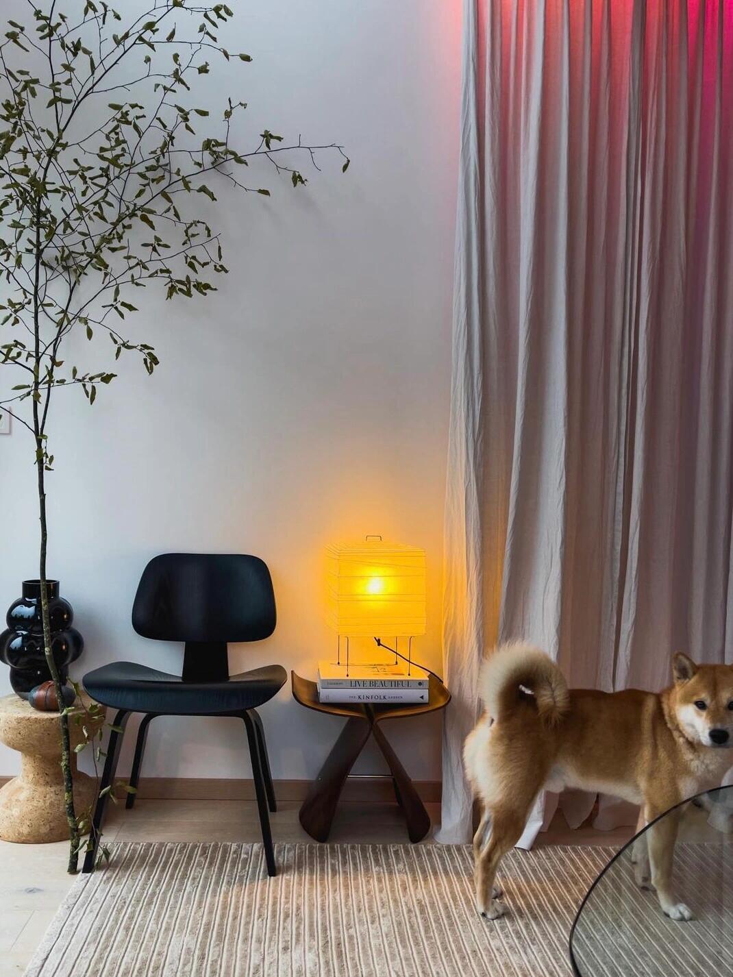 Akari 3X Table Lamp - Cueteks