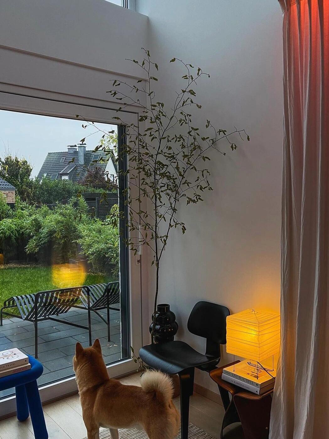 Akari 3X Table Lamp - Cueteks