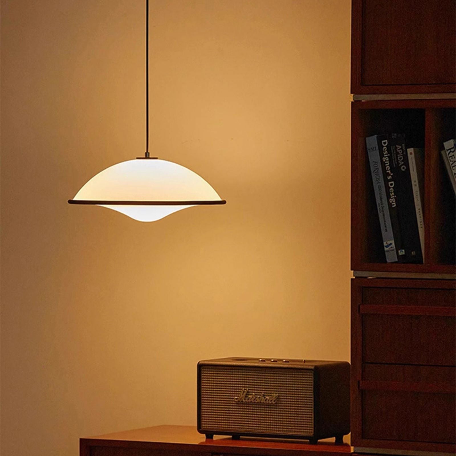 Acrylic Fontana Black Pendant Light - Cueteks