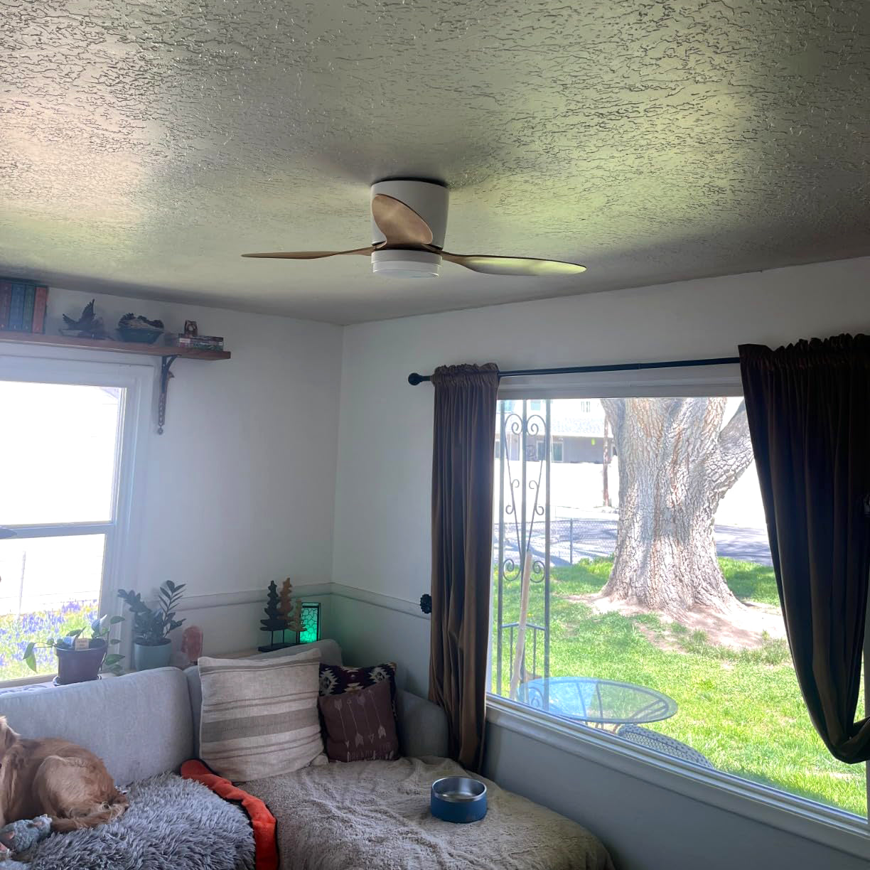 Wood-toned ceiling fan in a room with tall windows