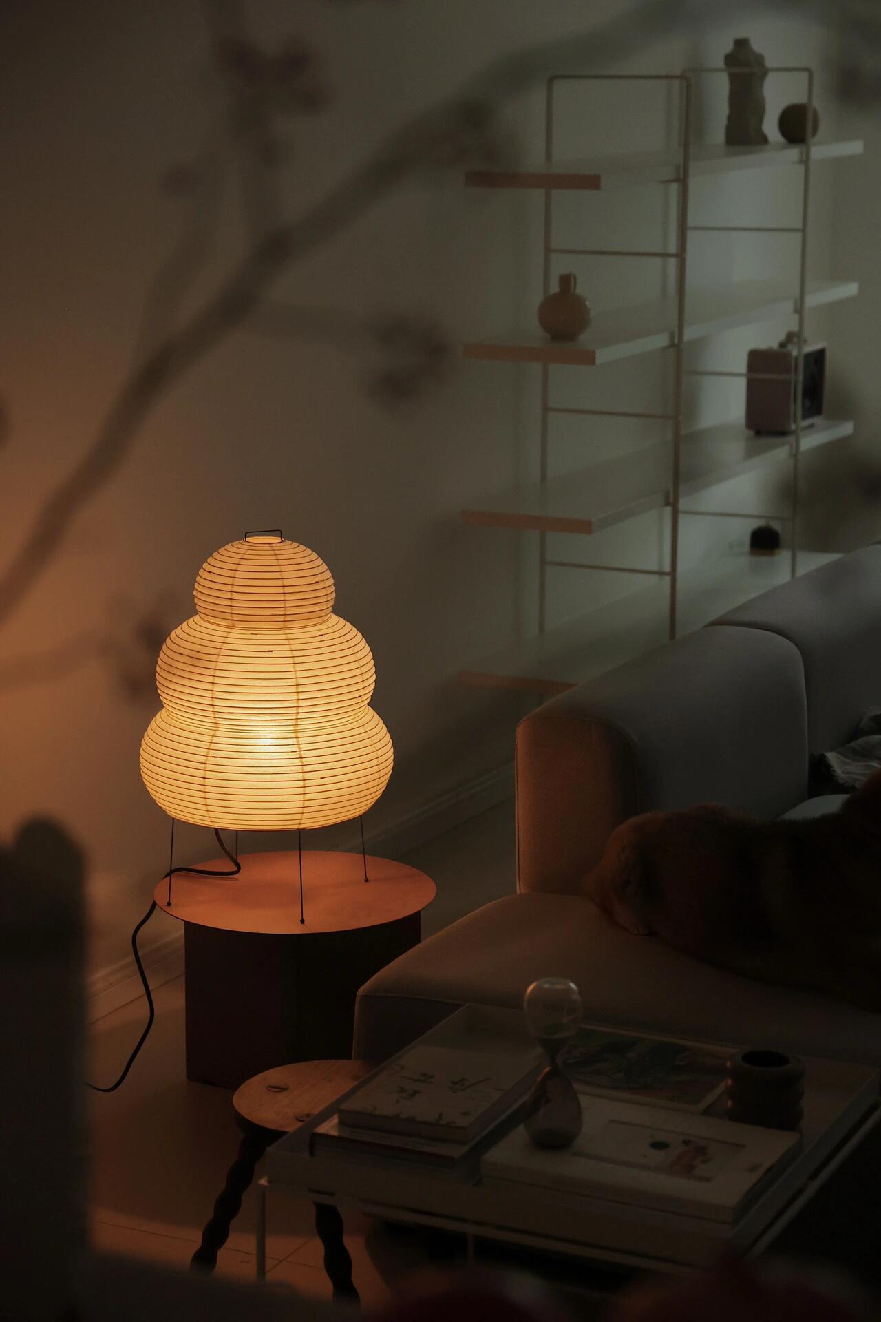 Akari 25N Table Lamp - Cueteks