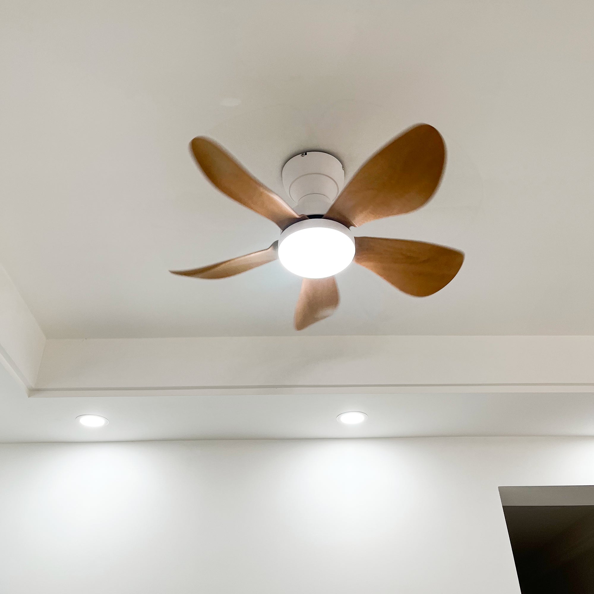 Embedded Five-Blade Fan Light - Cueteks