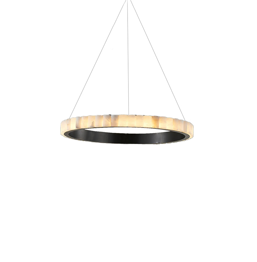 Single ring with pale segmented edge and black inner band on white