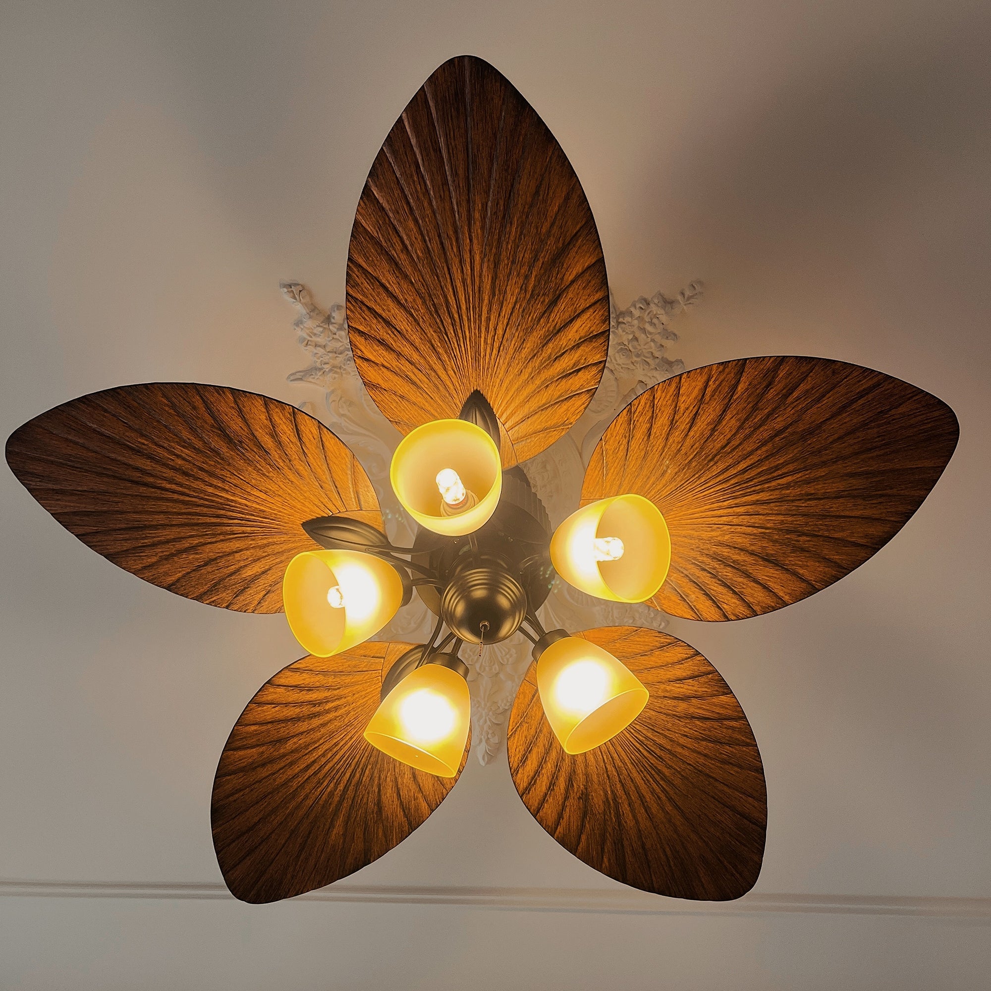 Underside of fan with broad rounded leaf-pattern blades and five lights