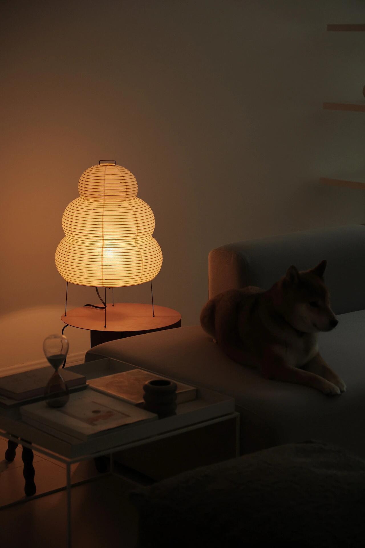 Akari 25N Table Lamp - Cueteks