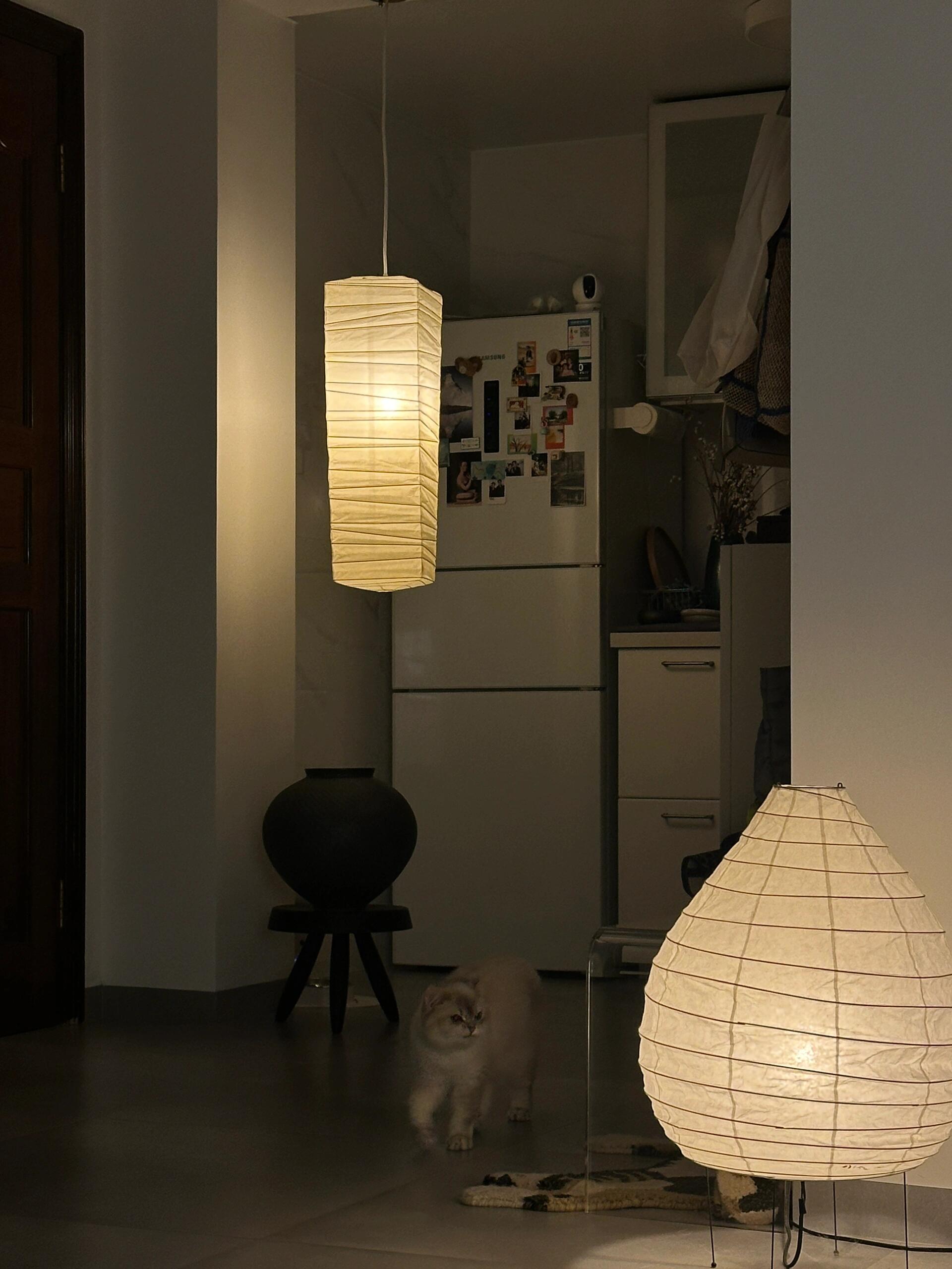 Akari 23N Floor Lamp - Cueteks