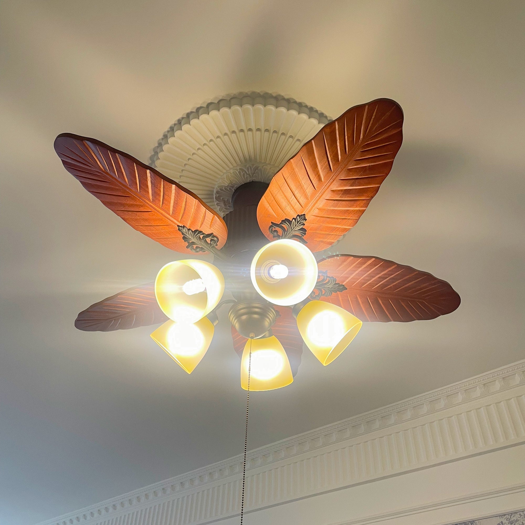 Underside of five-light fan with pointed leaf-pattern blades