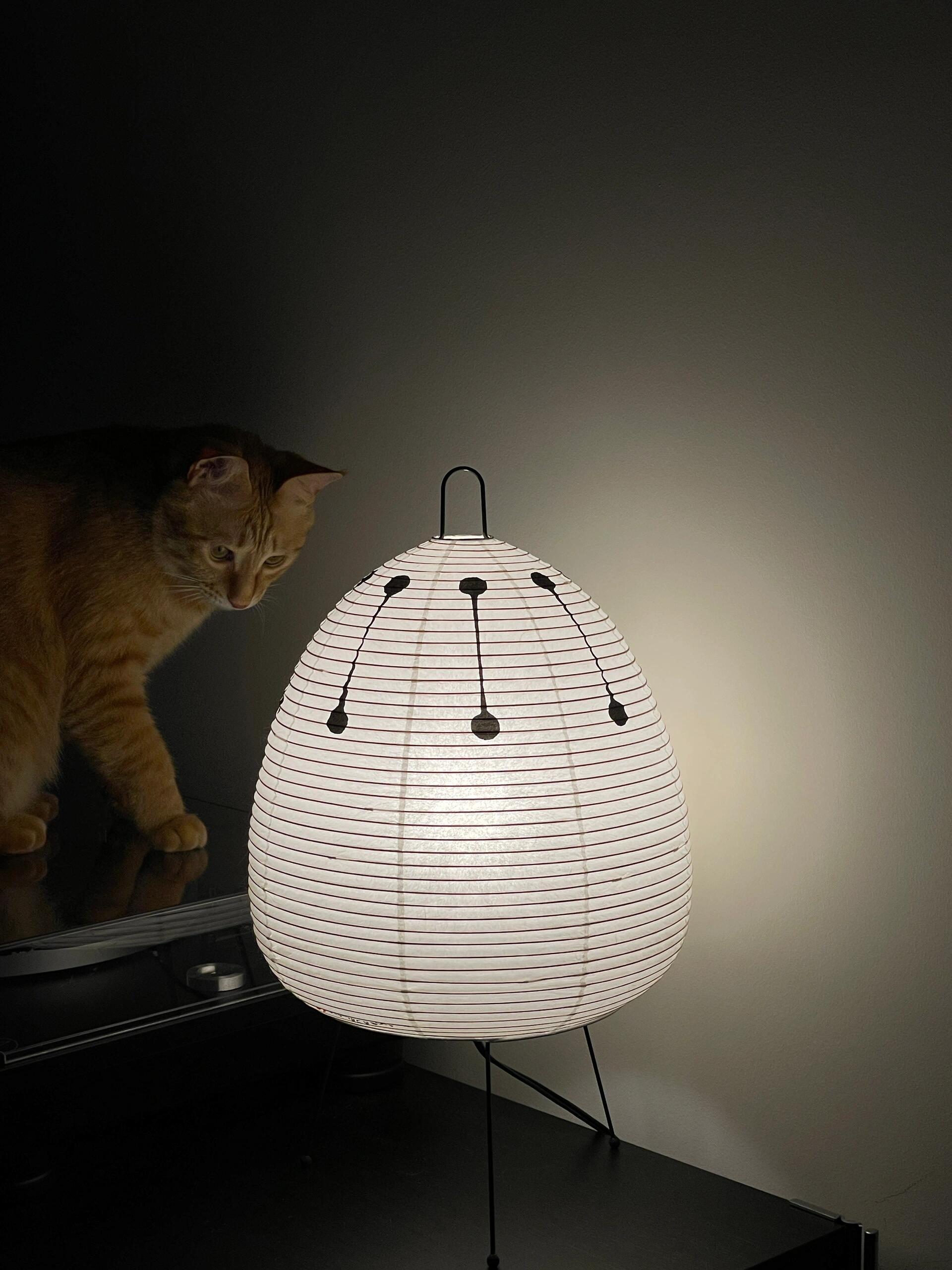 Akari 1A Series Table Lamp - Cueteks