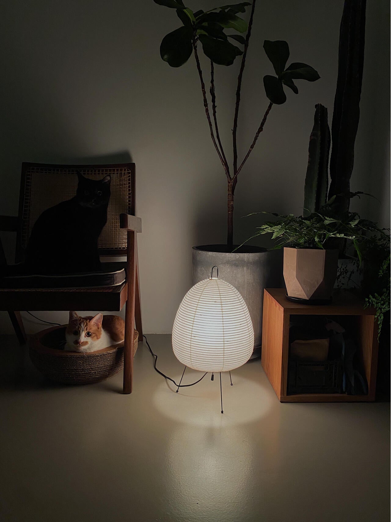 Akari 1A Series Table Lamp - Cueteks