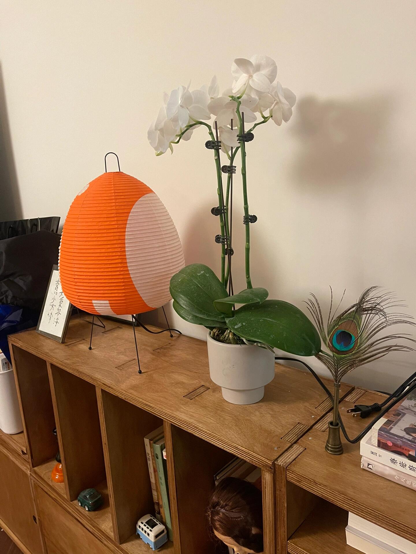 Akari 1A Series Table Lamp - Cueteks