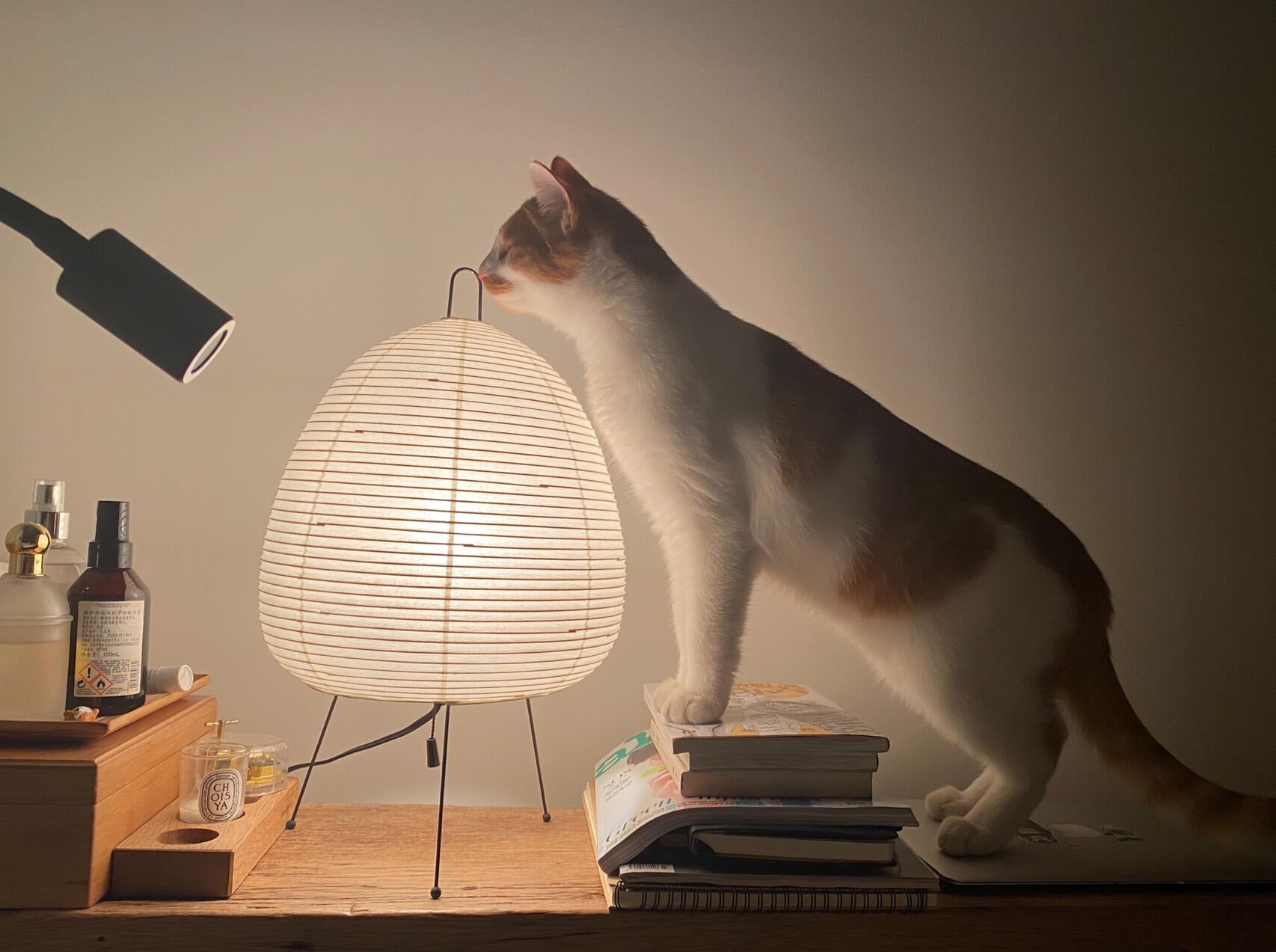 Akari 1A Series Table Lamp - Cueteks