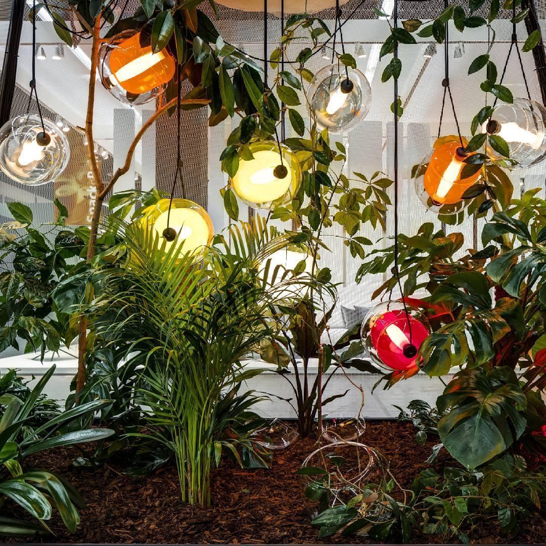 Coloured glass pendants suspended among plants