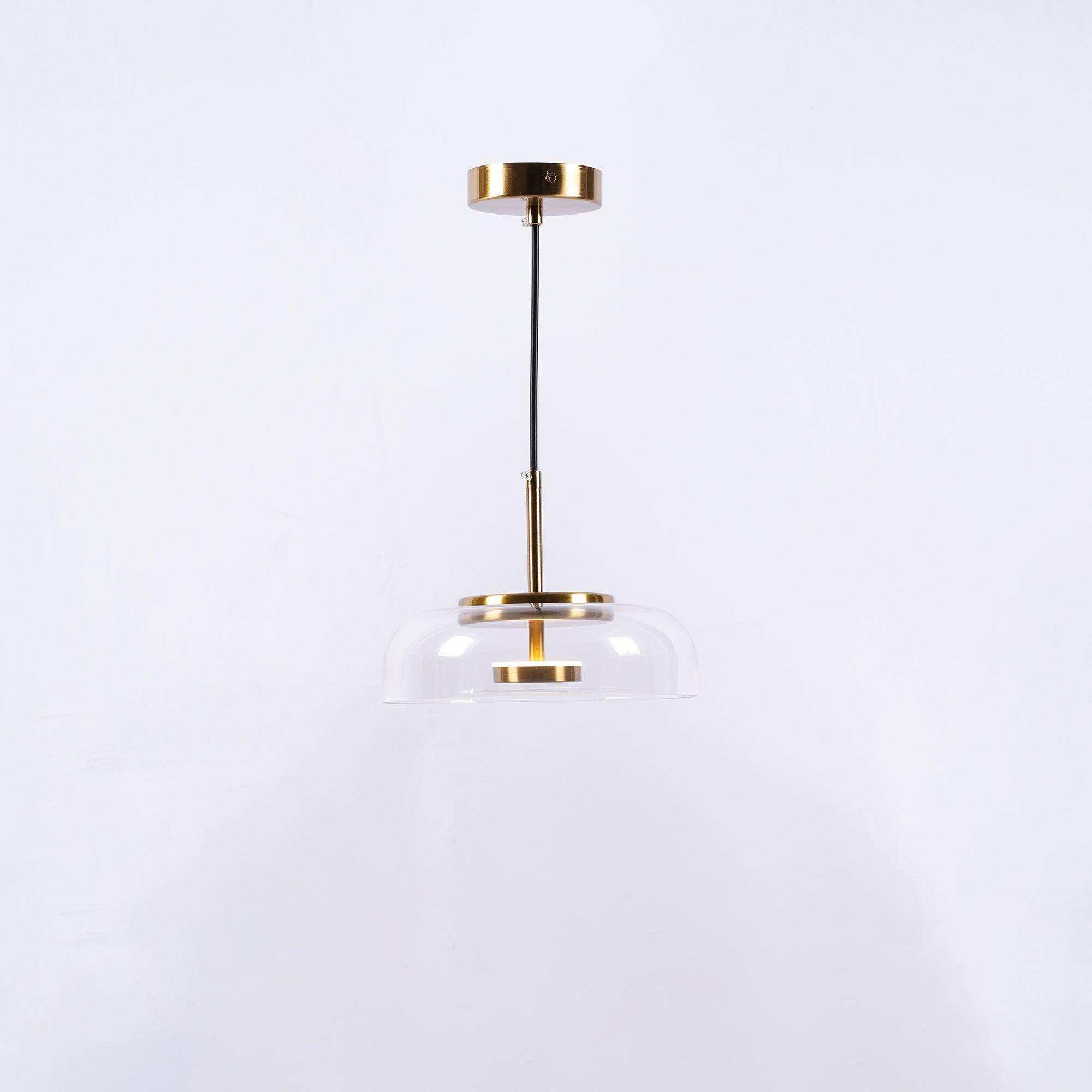 Blossi pendant light with a glass dome and circular inner metal elements