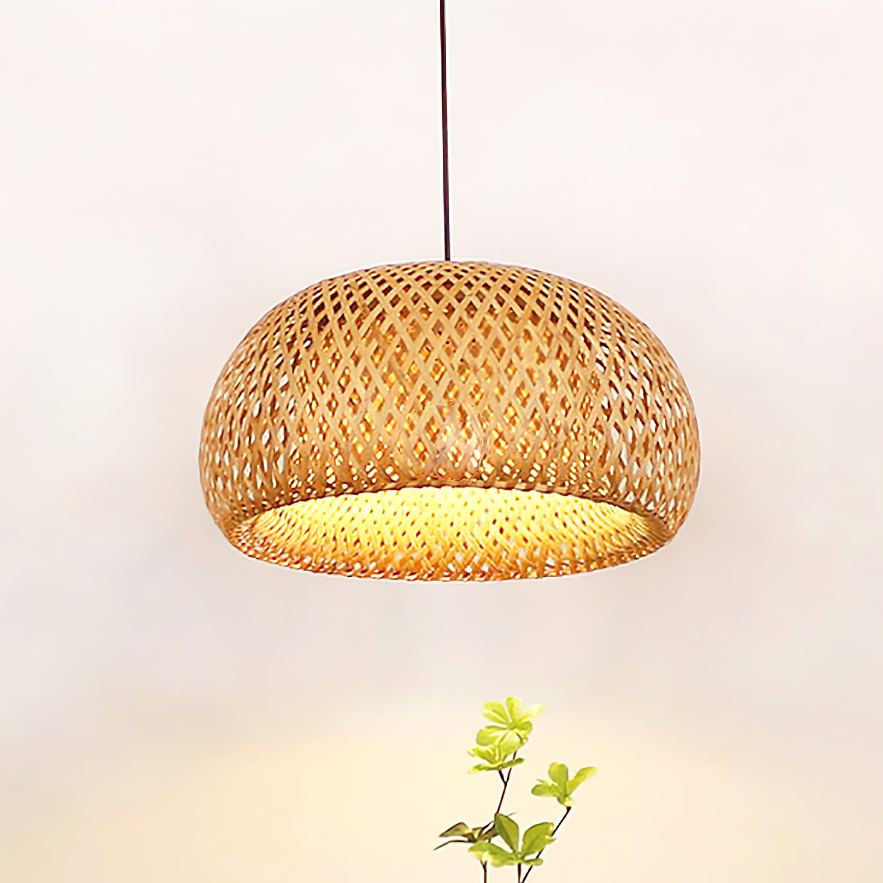 Single lit natural bamboo dome on dark suspension against cream wall, with green leafy sprig below