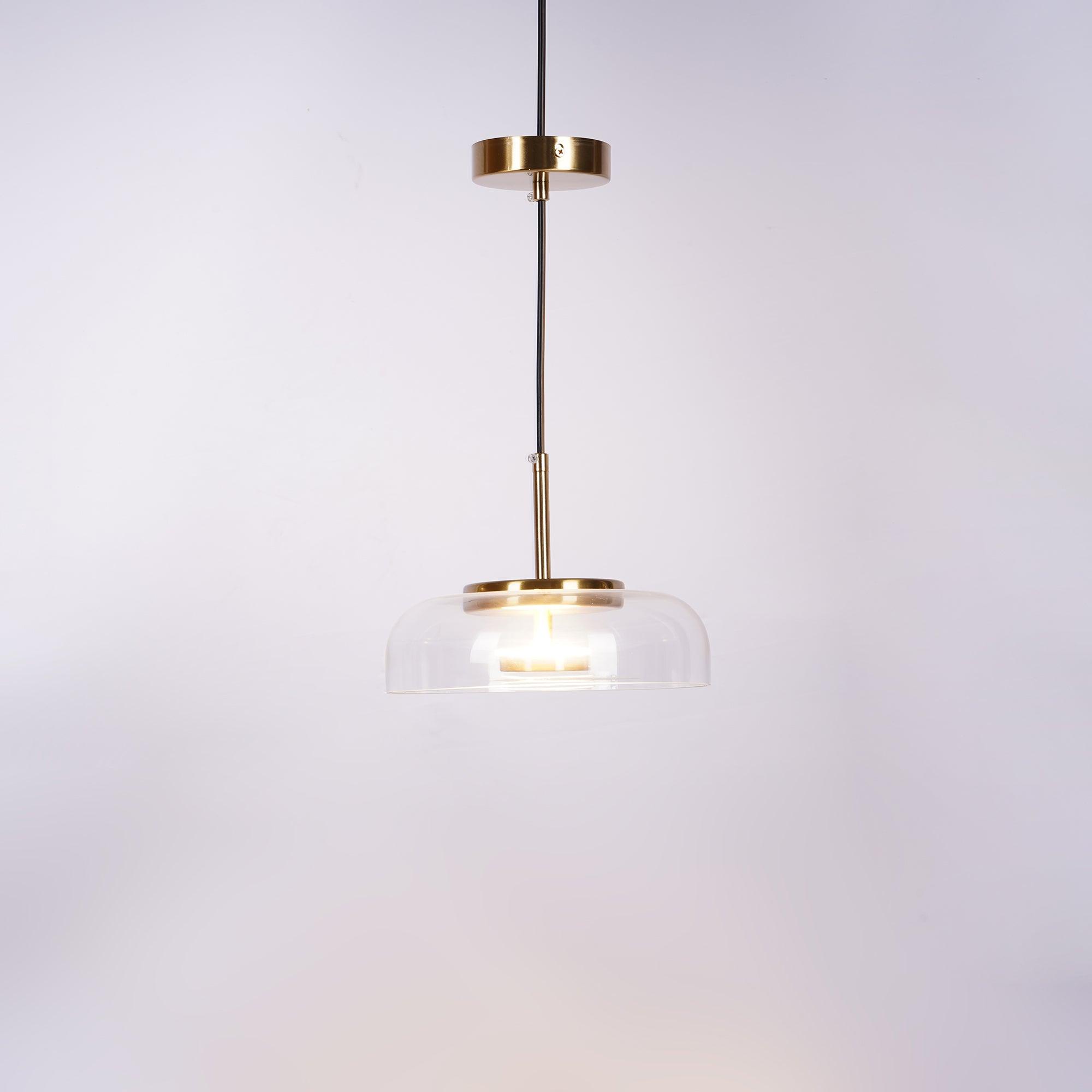 Blossi pendant light with a glass dome and circular inner metal elements