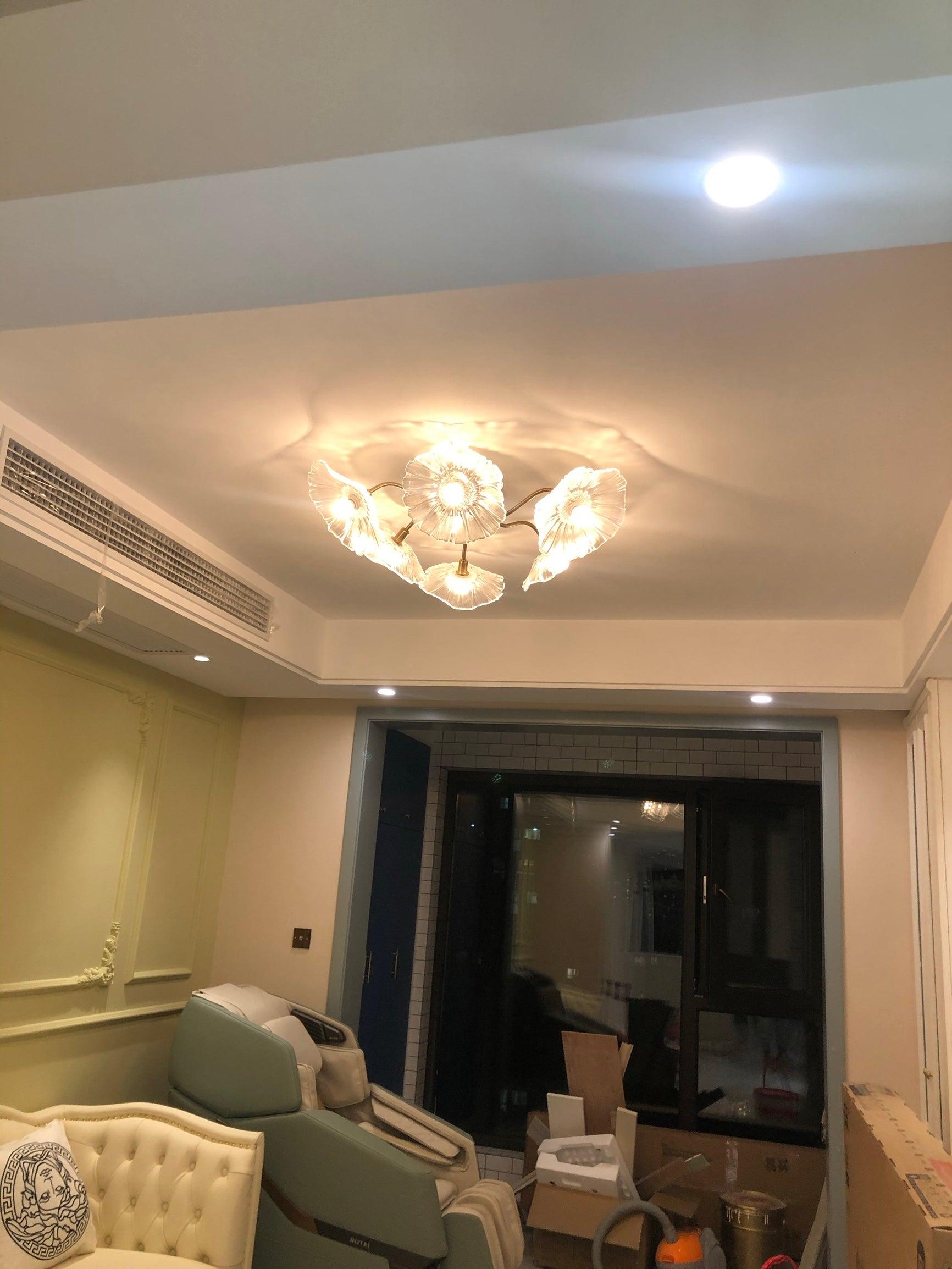 Lotus Leaf Glass Ceiling Lamp - Cueteks