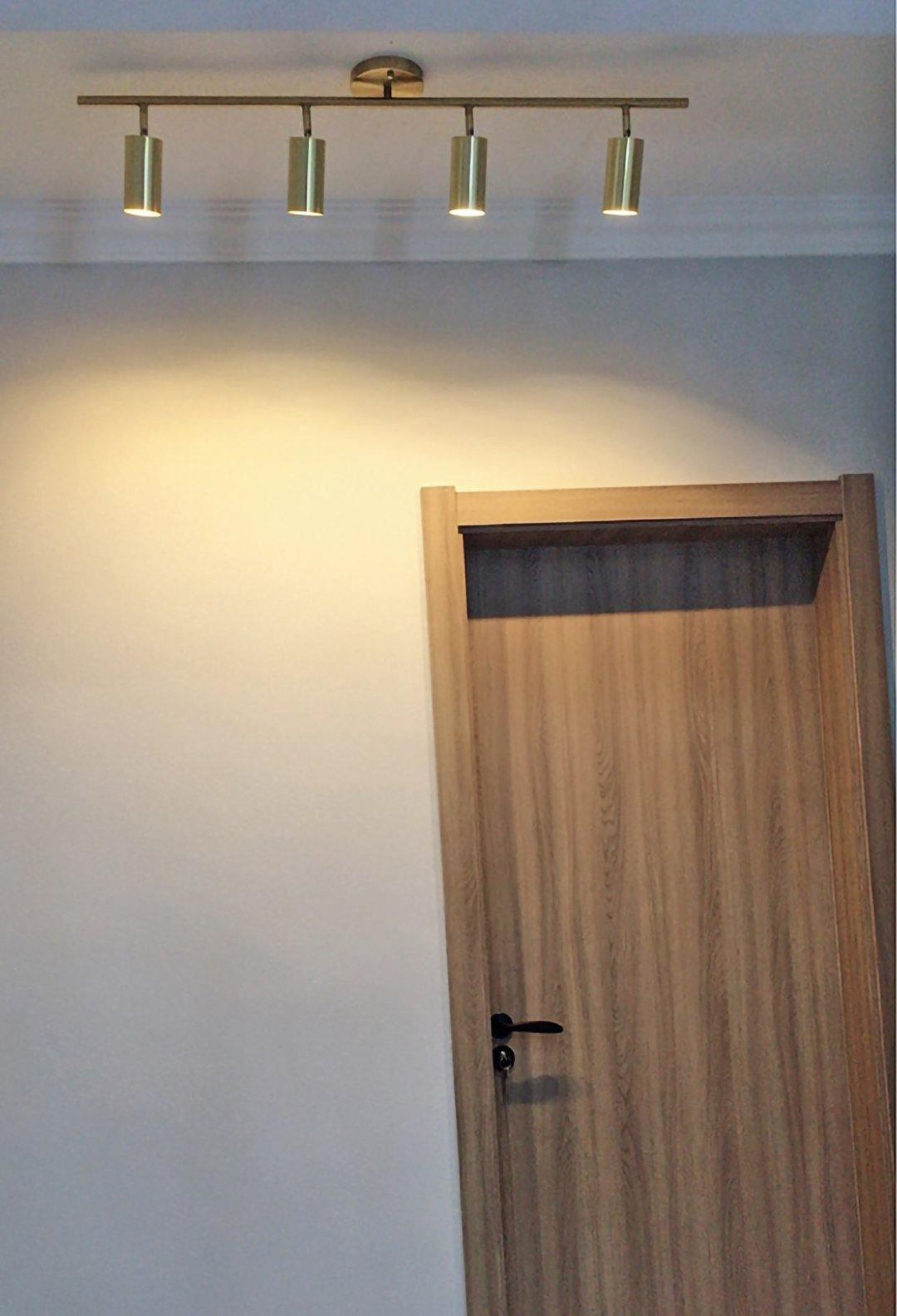 Cylinder Brass Series Ceiling Lamp - Cueteks