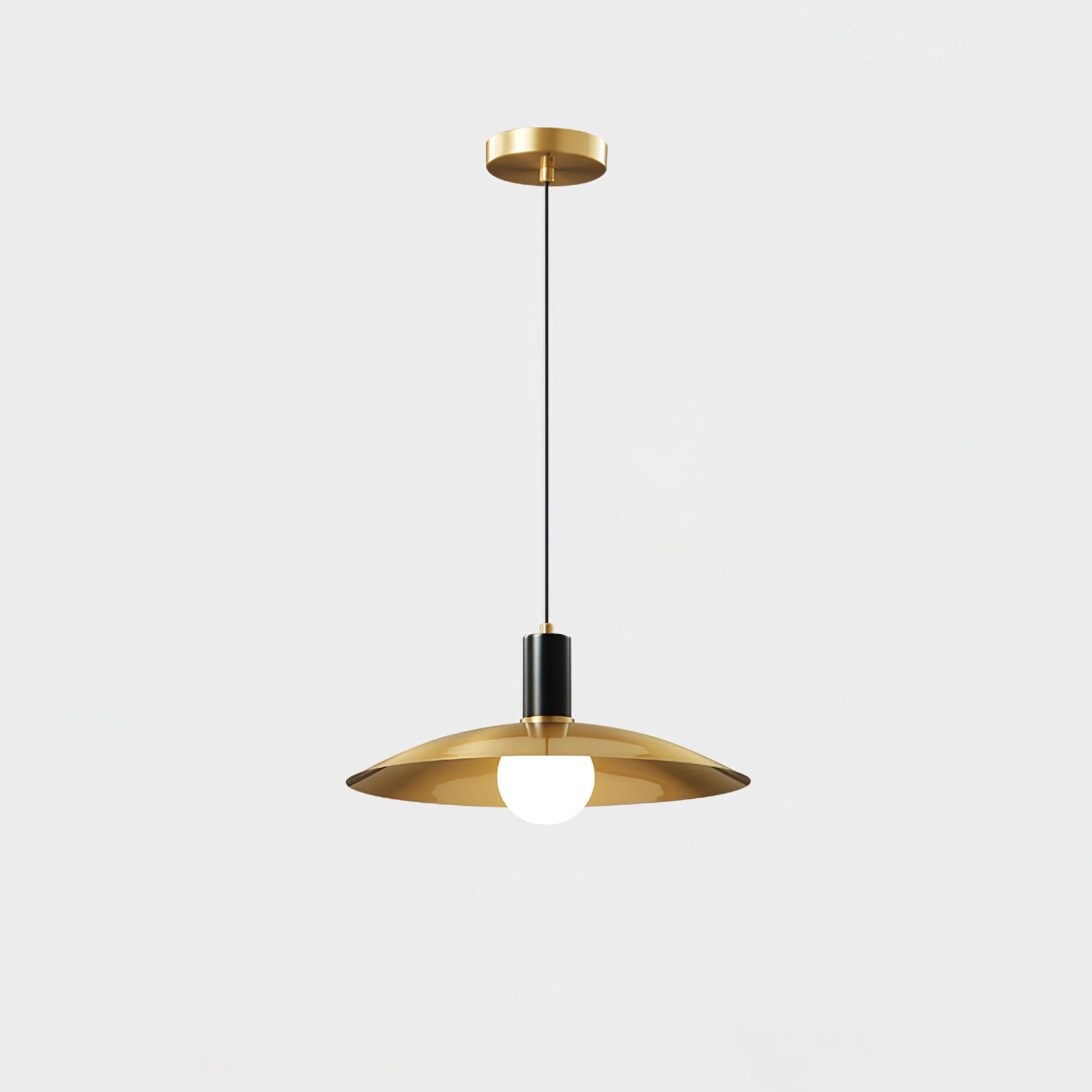 Brass and Black pendant photographed on a pale background