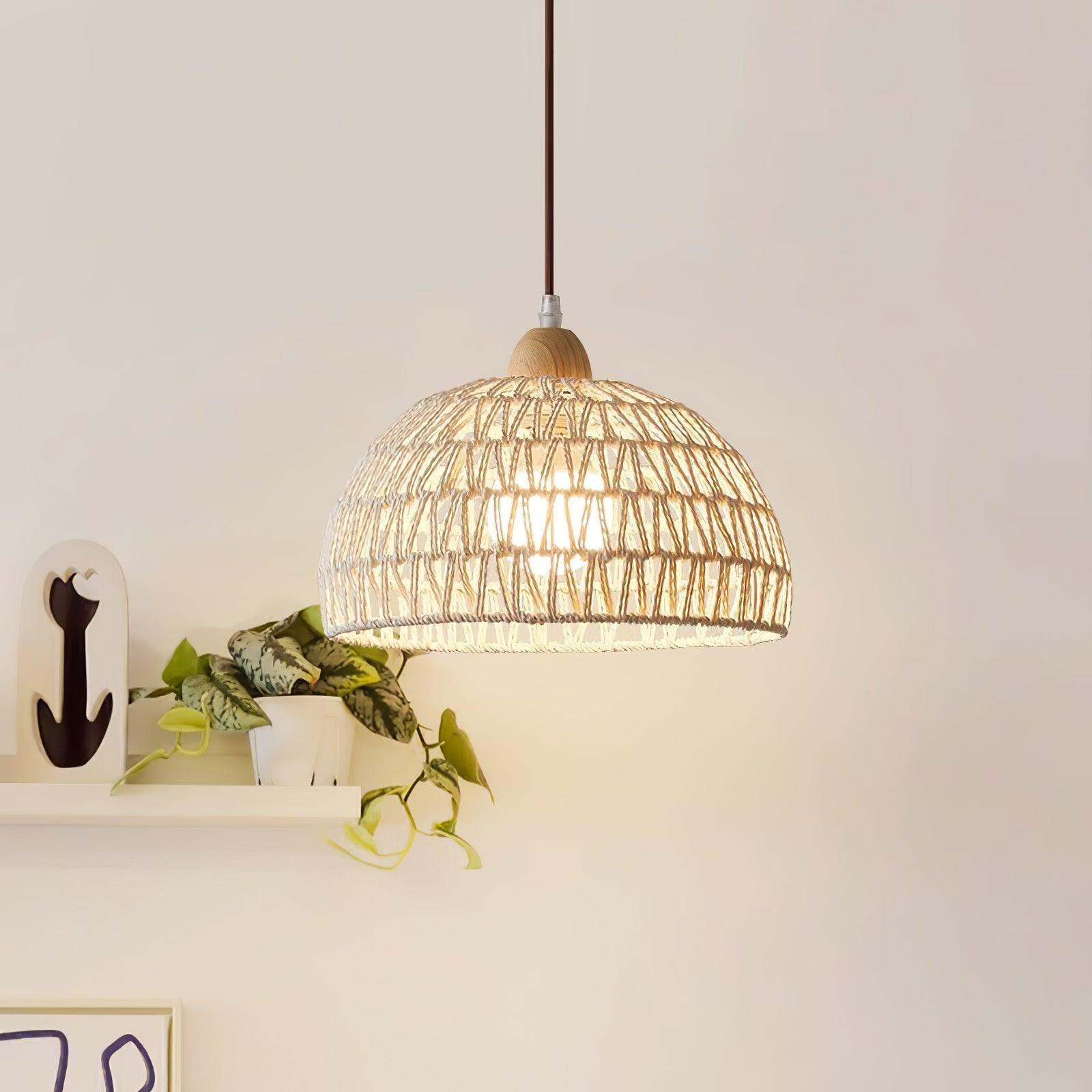 Lit woven dome pendant near a shelf with a leafy plant in a white pot and black abstract artwork