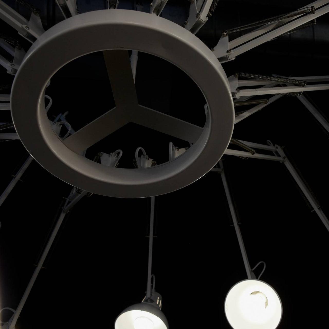 Dear Ingo Chandeliers - Cueteks