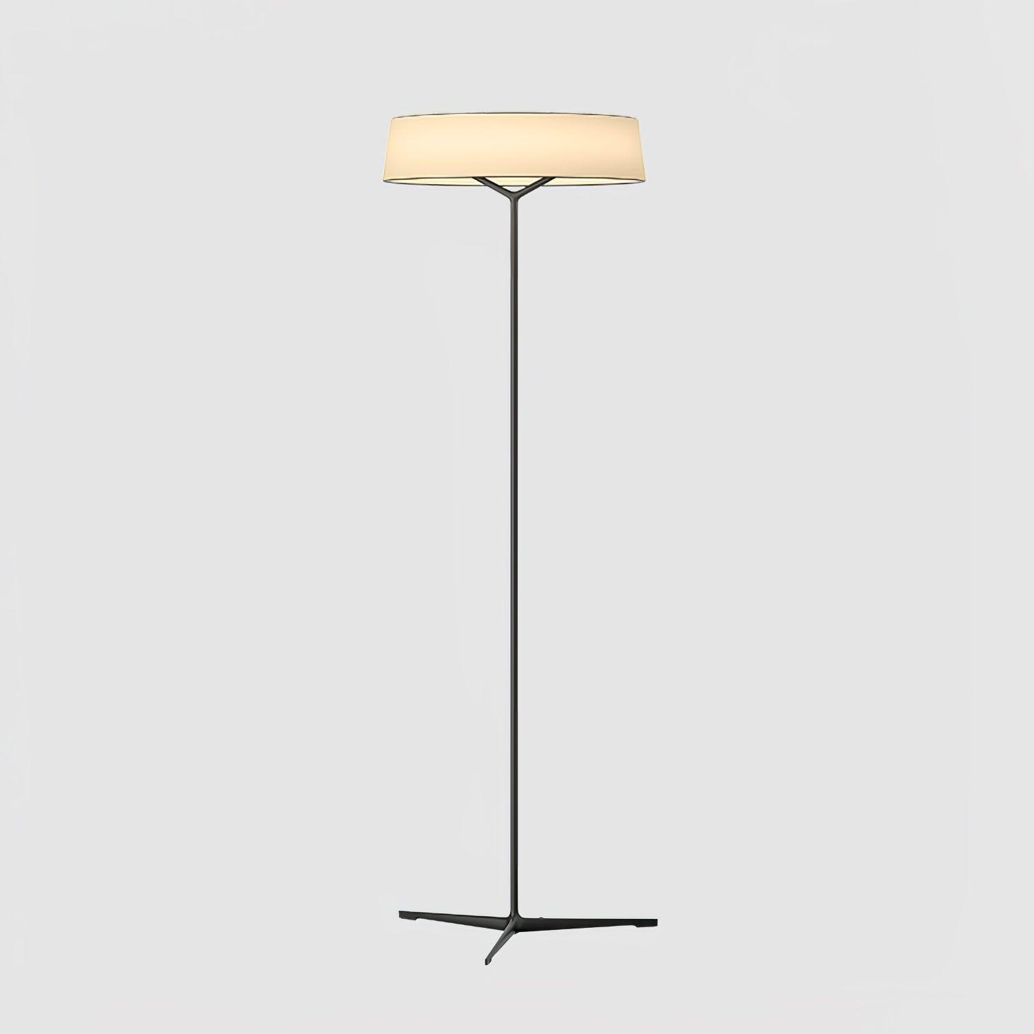 Black floor-lamp frame with White ring shade