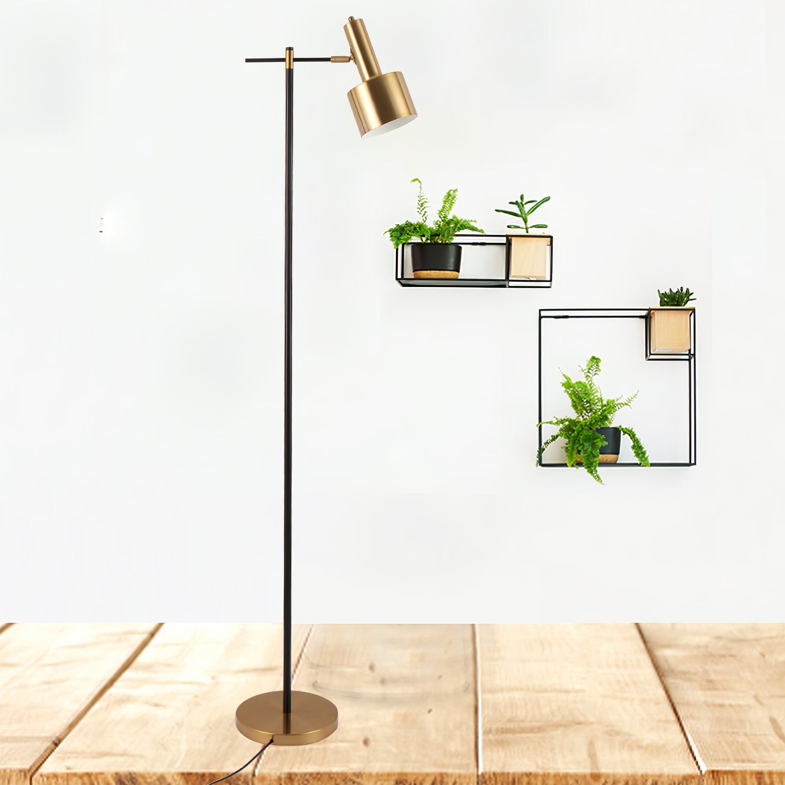 Black and gold floor lamp with cord at round base on wooden floor beside black-framed wall plant shelves