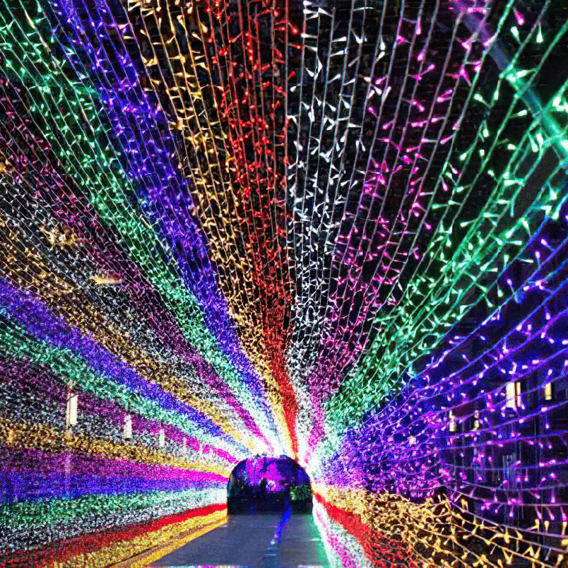 LED Fairy String Lights - Cueteks