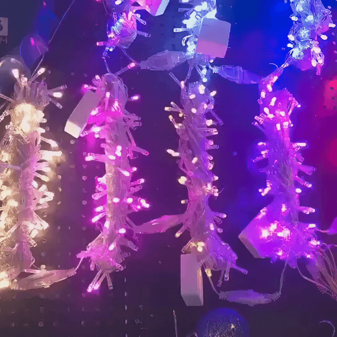 LED Fairy String Lights - Cueteks
